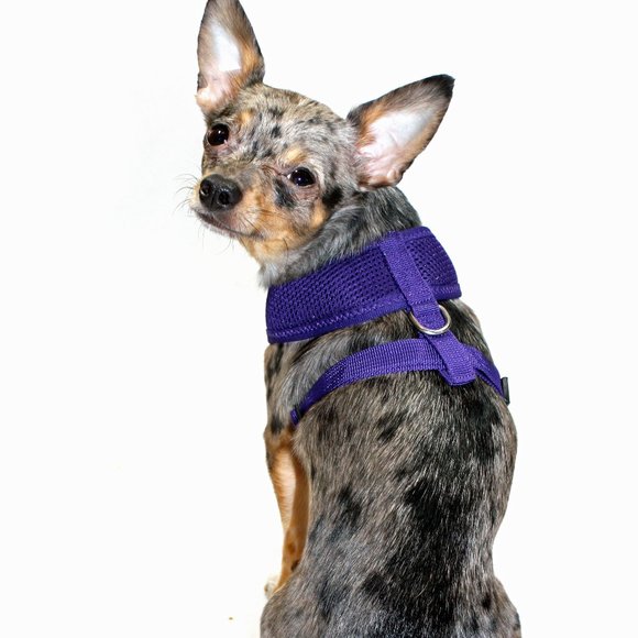 Ultra Comfort Harness Vest - Purple - Picture 5 of 7